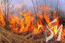 ������ ���������� ���� ��������� ����� �����? 